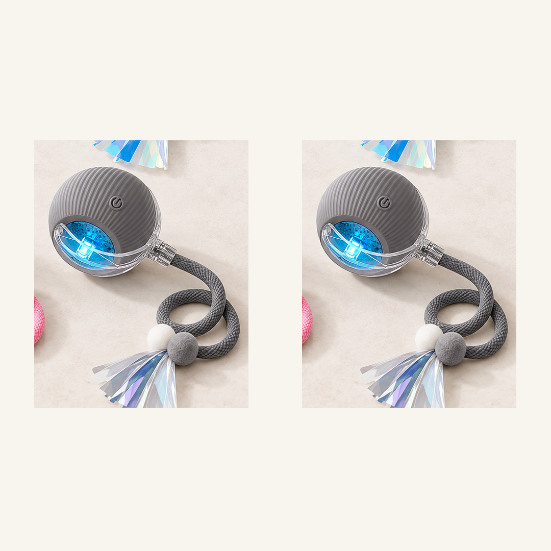 SKU image for pet teaser toy 2 pack Gray and Gray