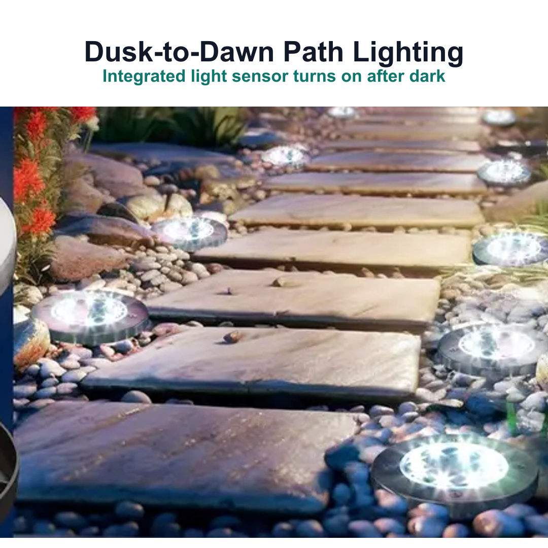 solar ground lights illuminating an outdoor walkway after dark