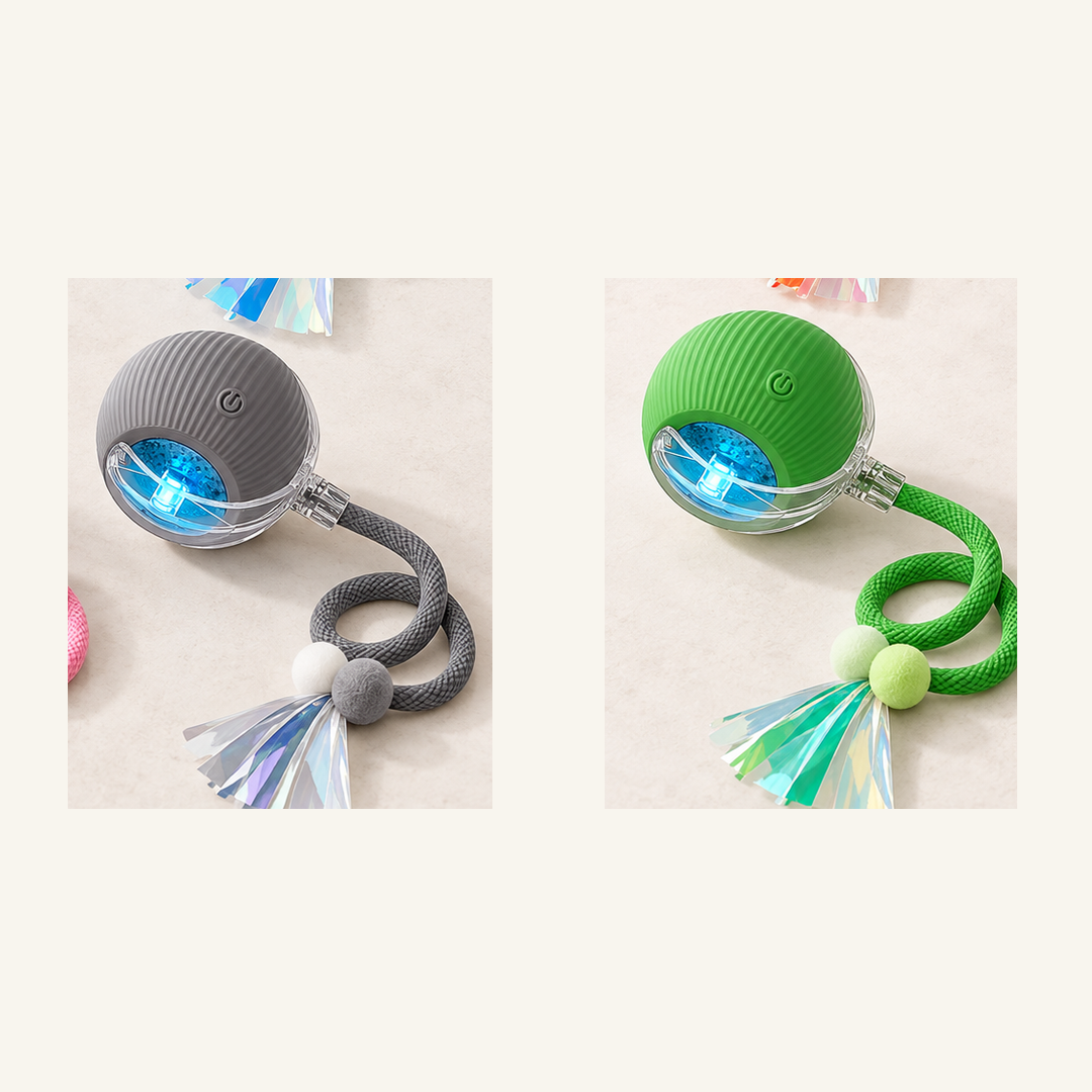 SKU image for pet teaser toy 2 pack Gray and Green
