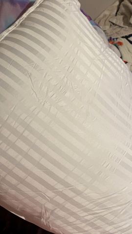 Customer photo for Queen Hotel-Style Pillows