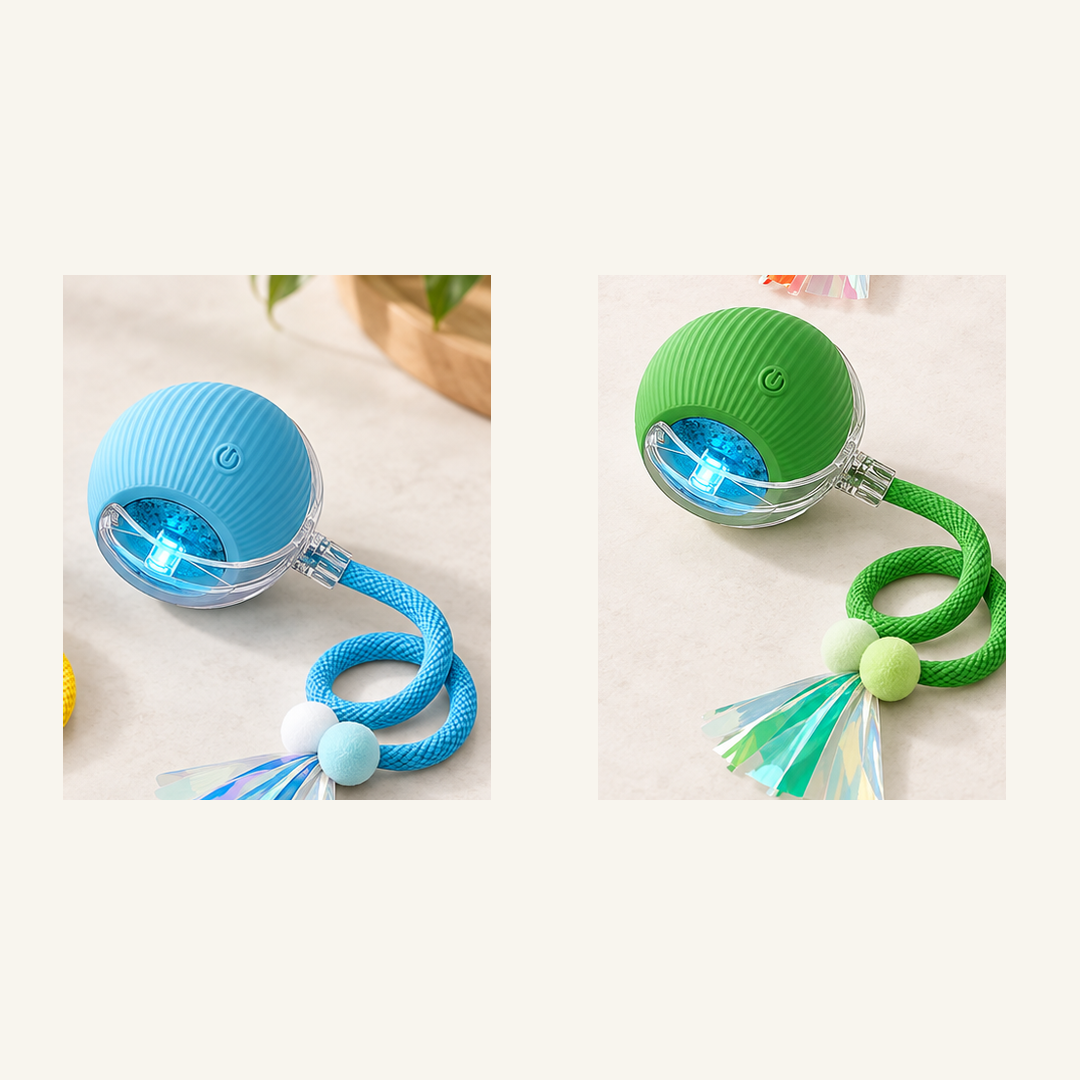 SKU image for pet teaser toy 2 pack Blue and Green