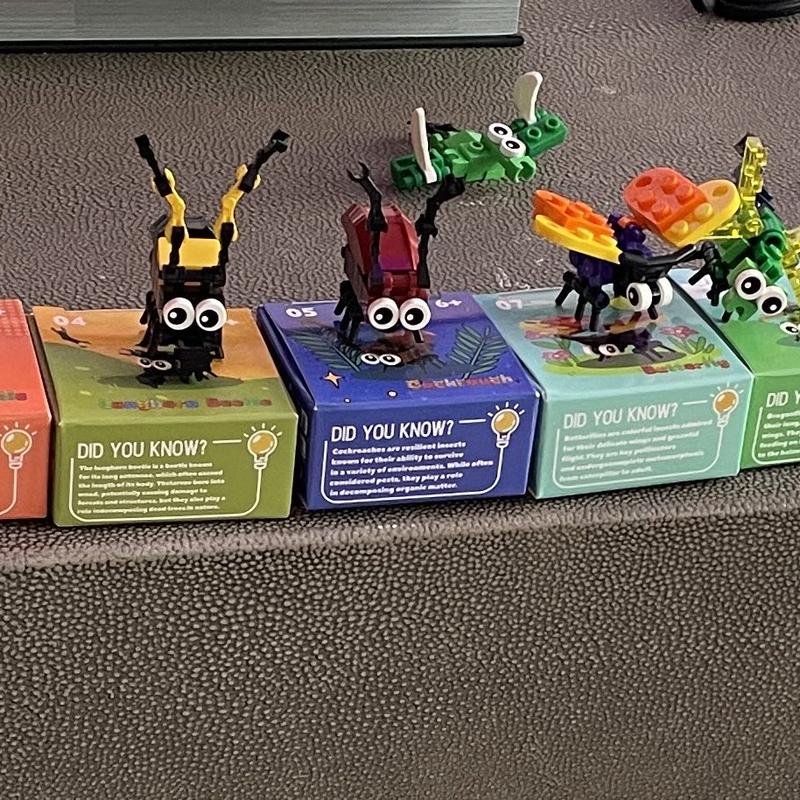 Customer photo - Grandson assembled bug models