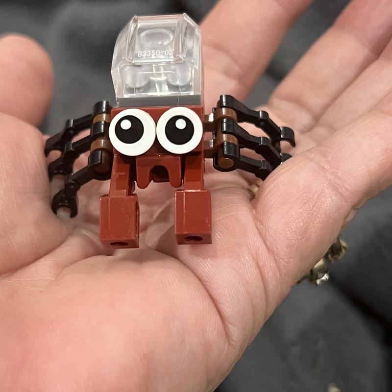 Customer photo - Kids building insect bricks