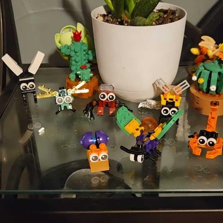 Customer photo - Separately packaged insect boxes