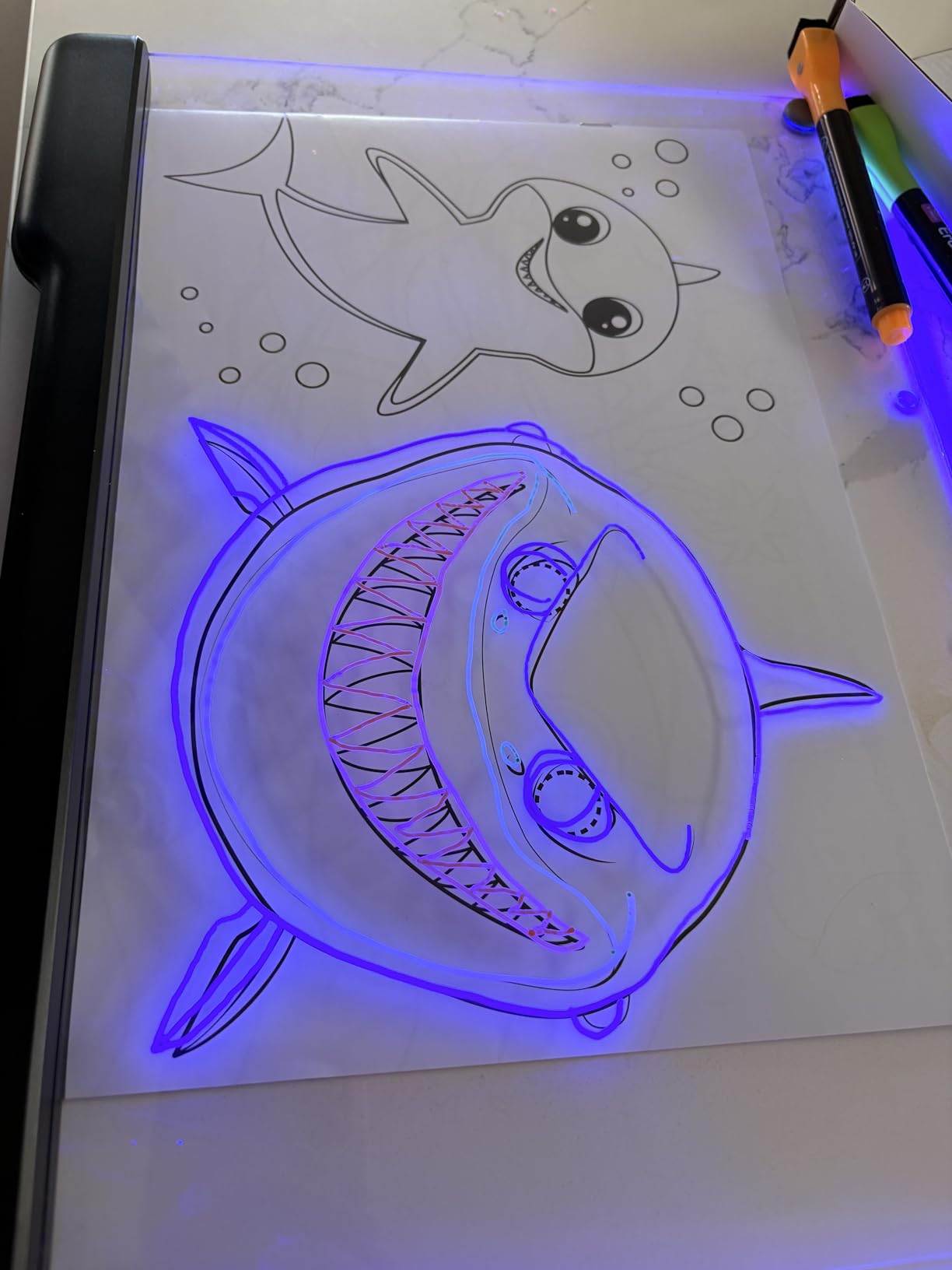 Shark outline traced on the acrylic drawing board with markers