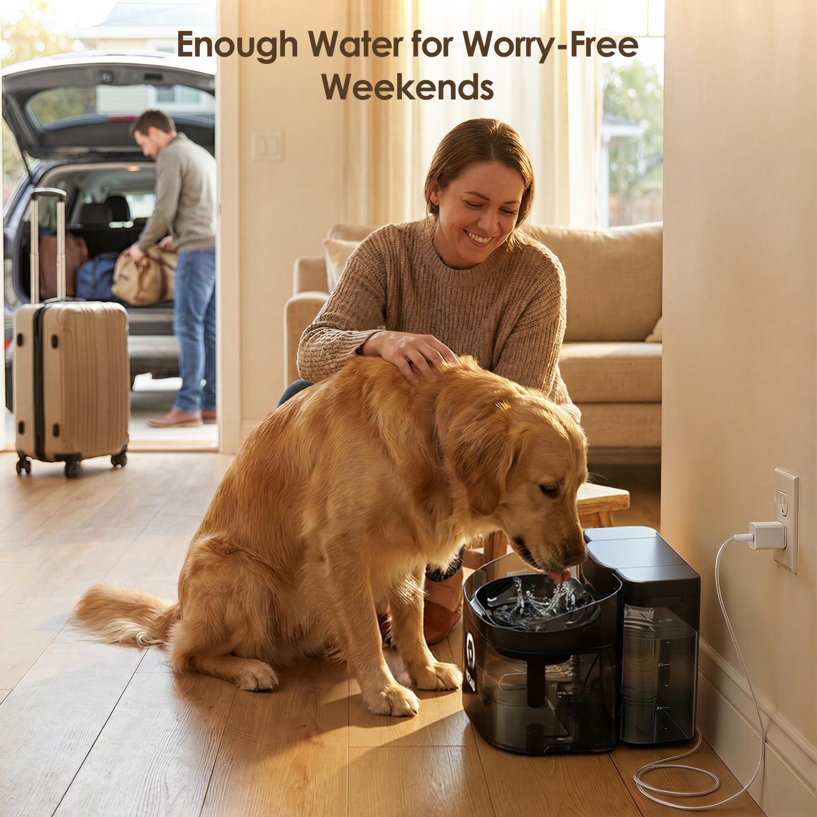 VEWO 11L Large Dog Water Fountain, 5L Drinking Area + 6L Reserve Tank, Deep Anti-Spill Bowl for Big Dogs & Multi-Pet Homes, Automatic Flowing Water Dispenser with Multi-Layer Filtration, BPA-Free, Ultra Quiet & Easy to Clean