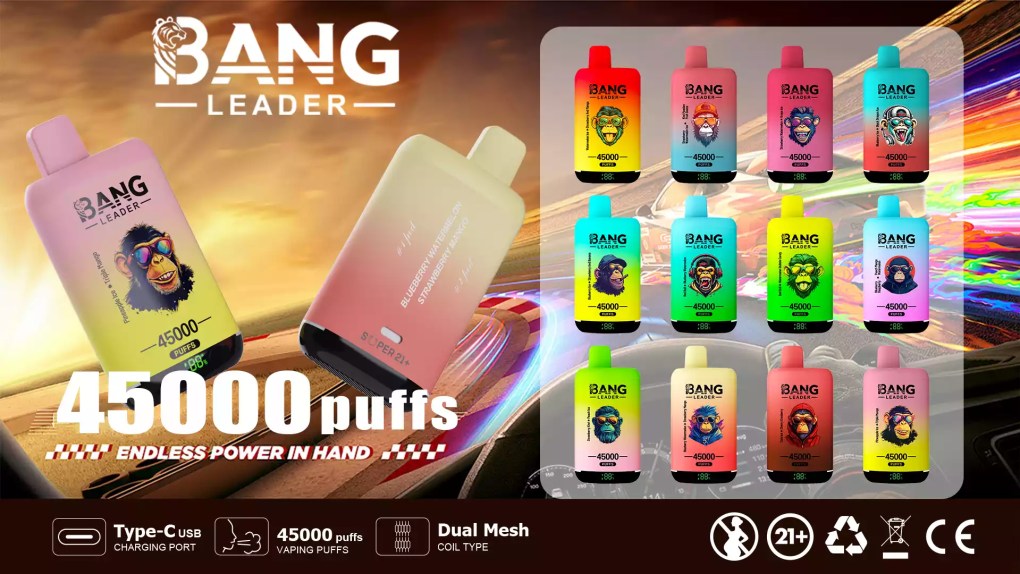 BANG LEADER 45000 Puffs Dual Taste Authentic Disposable Vape Bulk Buy Wholesale