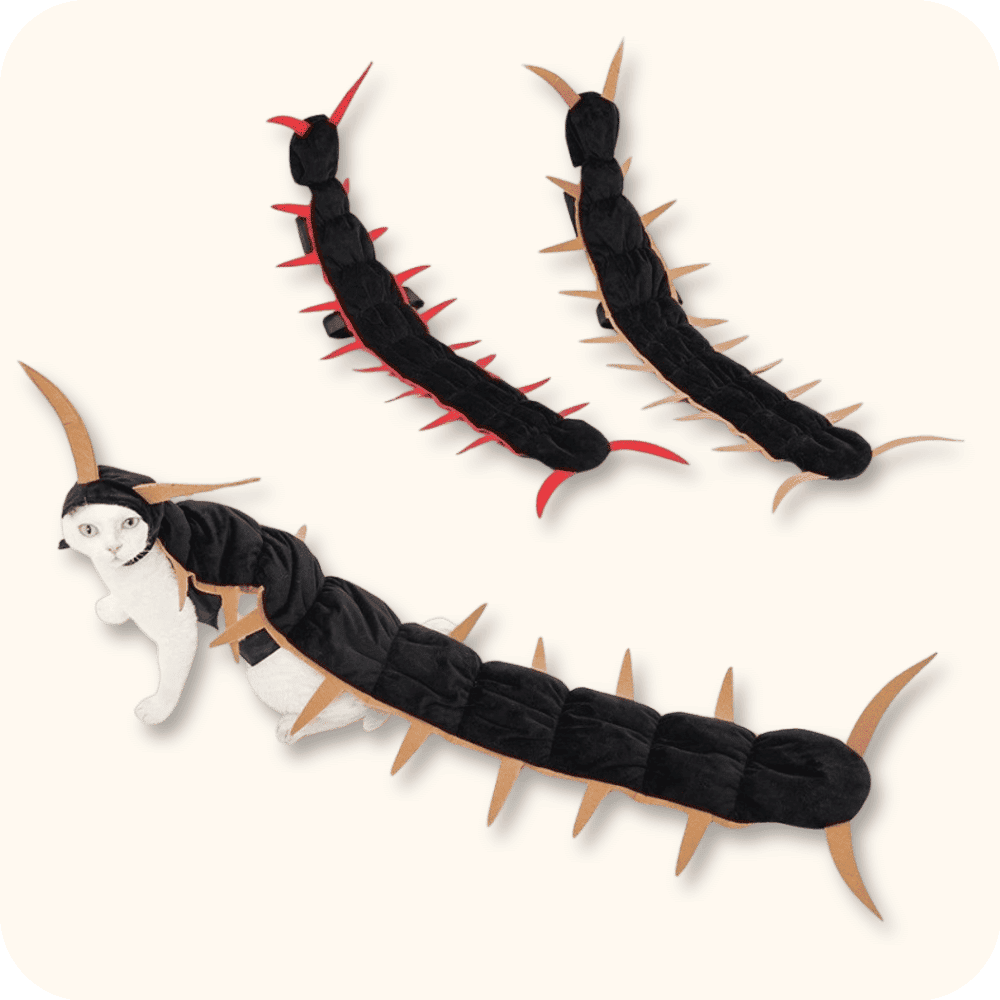 🎃 Halloween Centipede Costume For Cats, Realistic Segmented Creepy Crawly Pet Outfit, Party Photo Prop Novelty Gift For Cat Lovers