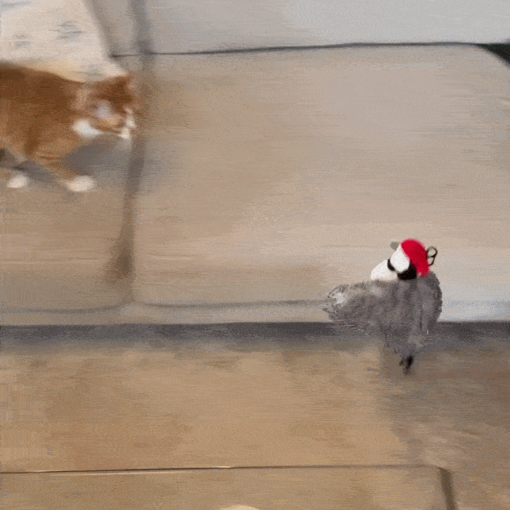 🐦 USB Rechargeable Flapping Bird Cat Toy, Touch Activated Chirping Interactive Plush Bird Toy 🐱 Detachable Washable Bite Resistant Hunting Exercise Toy for Indoor Kittens