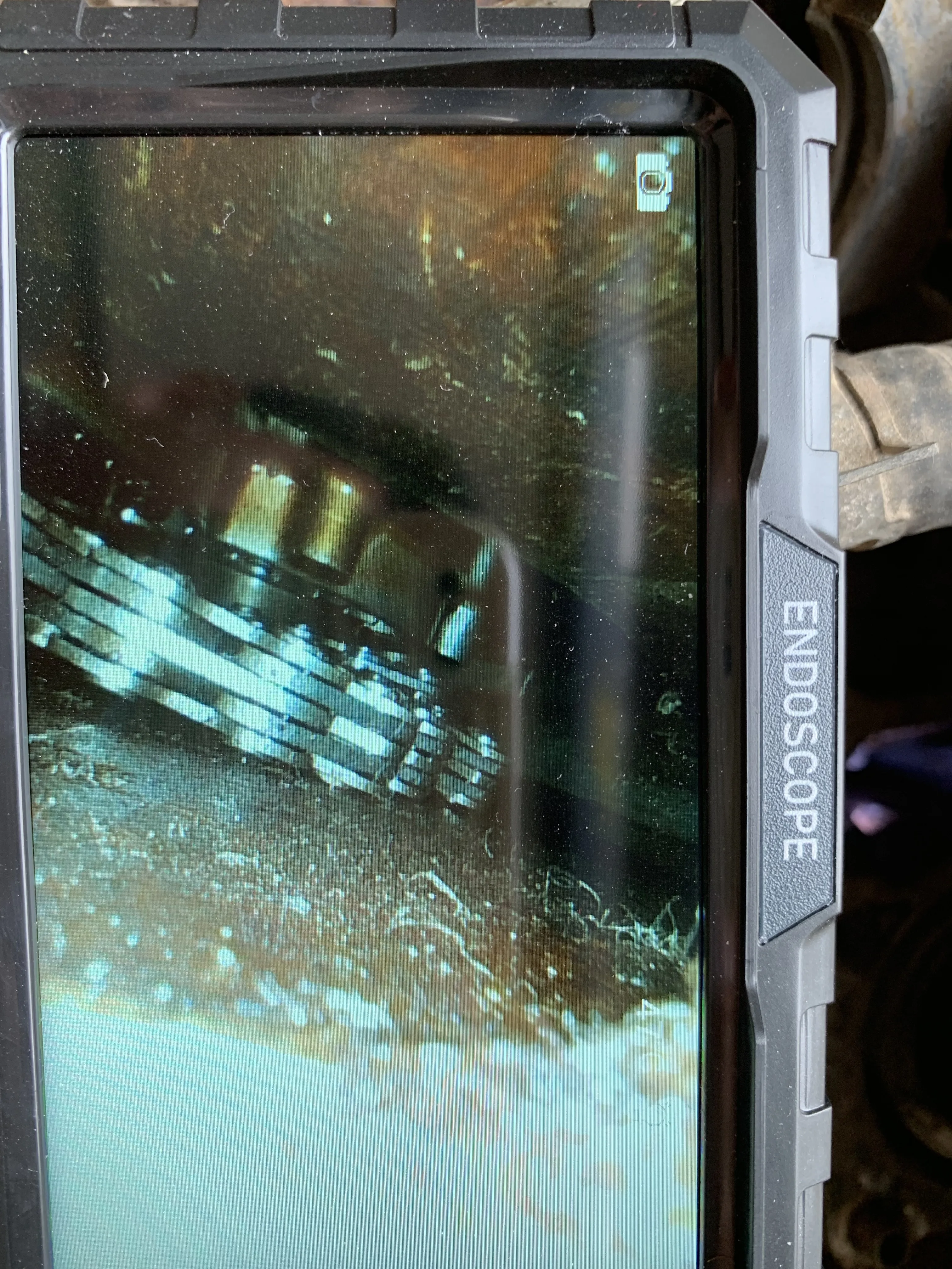 M90 customer review photo from R.Nada