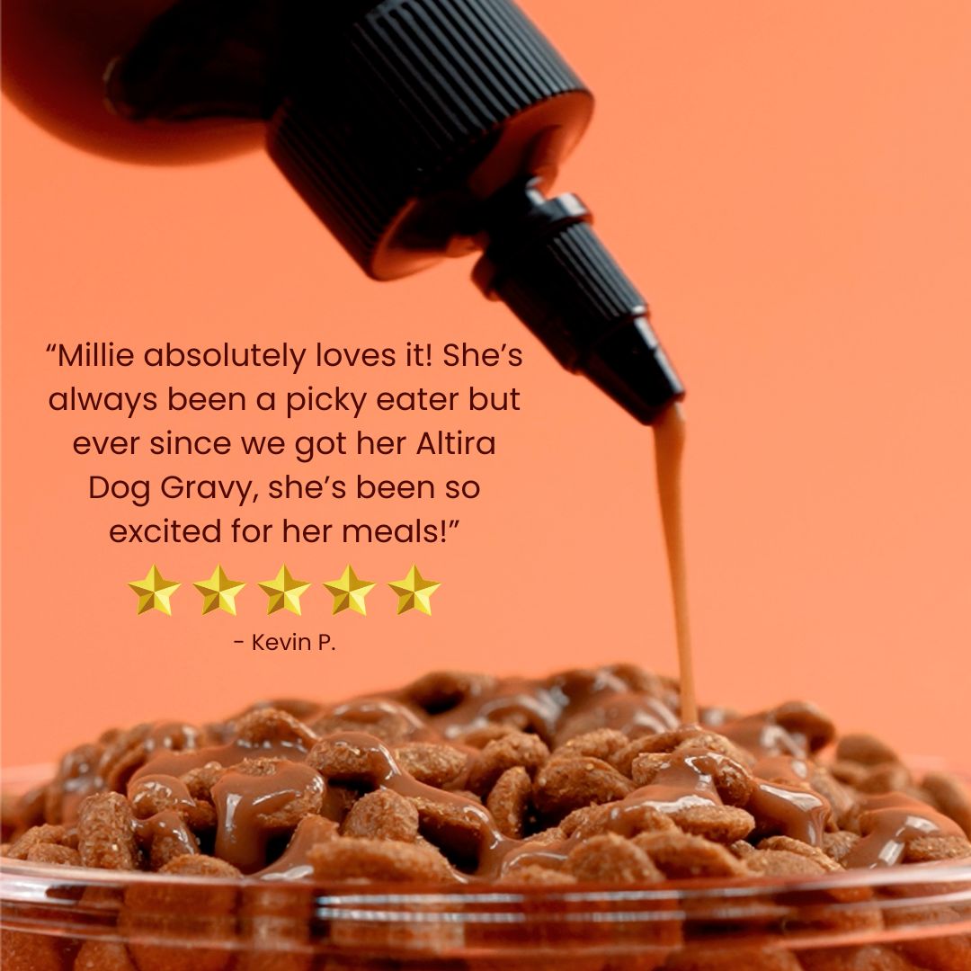 Dog food with gravy being poured over it, on an orange background