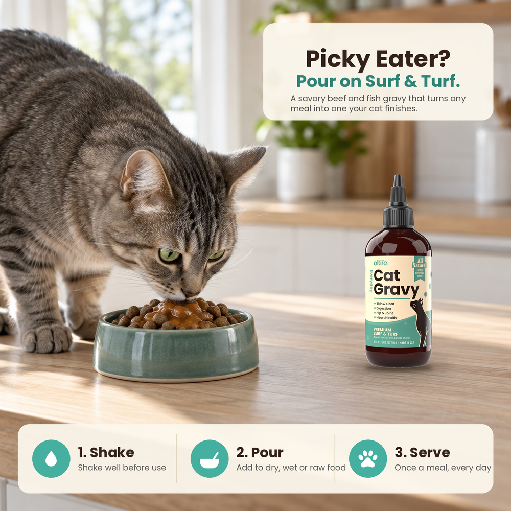 Cat eating kibble topped with Altira Surf & Turf cat gravy – shake, pour, serve
