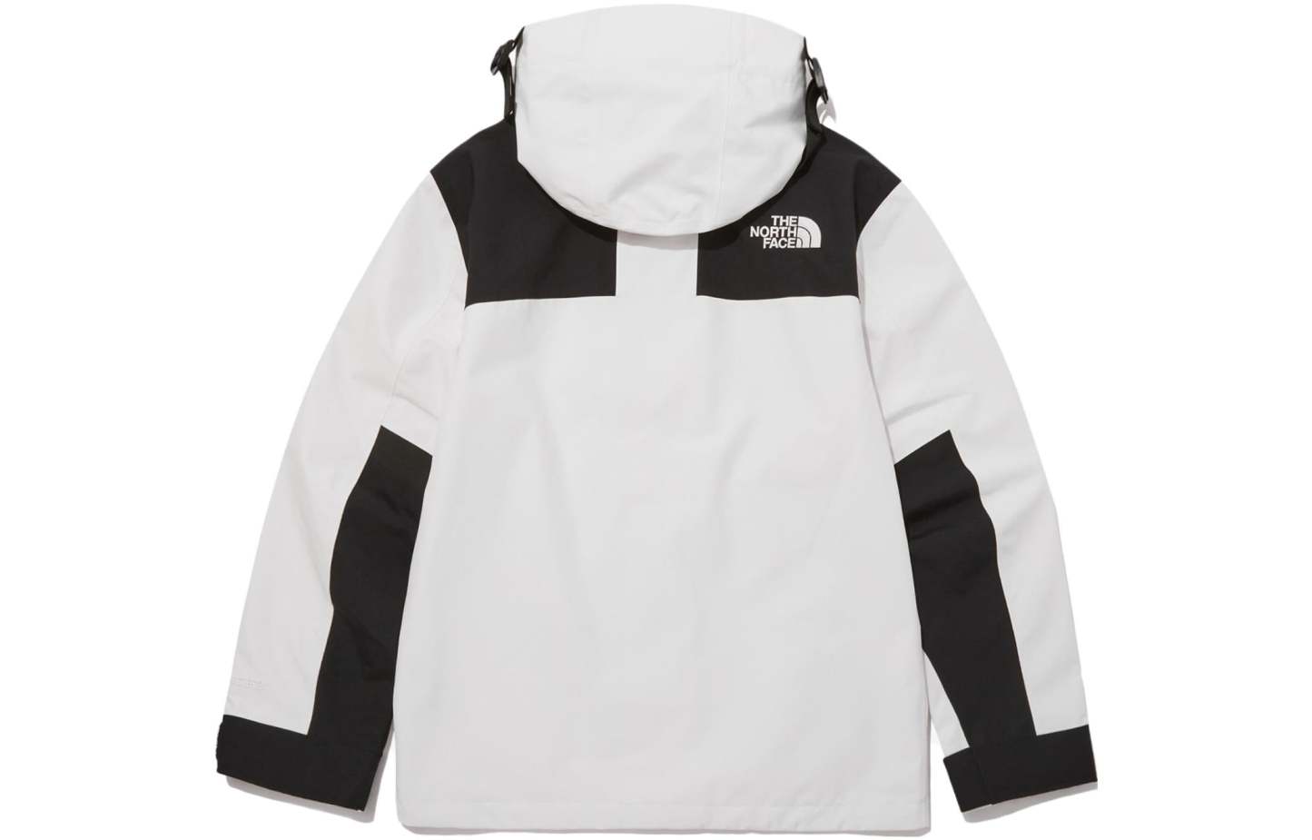 THE NORTH FACE Eco GTX Mountain Jacket 'White' NJ2GP51B - 1_327c735d-6217-4cb0-b88f-35f551799434