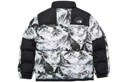 THE NORTH FACE FW22 DOWN Jacket NJ1DN57A - 1_395478d7-1f6f-49f2-a348-1582e50f1e53