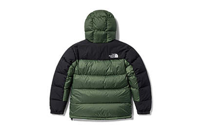 THE NORTH FACE Winter Puffer Jacket 'Olivegreen' NF0A4QYX-NYC - 1_507e6c76-340d-484d-9f8a-978451bdee14