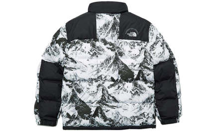 THE NORTH FACE Winter Custom Printed Jacket 'White' NJ1DL56C - 1_784cefa8-feb7-43f9-a1c9-6bca114946c1