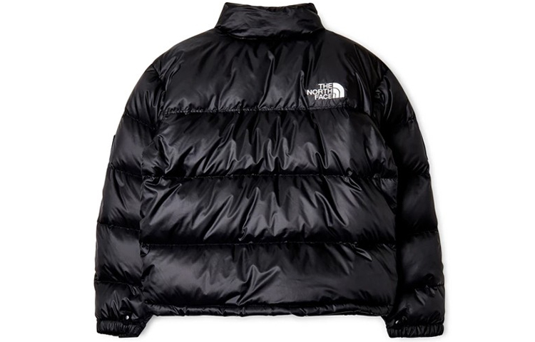 THE NORTH FACE X DSM Nuptse Jacket 'Black' NF0A52AYJK3 - 1_b672d18d-bea2-4d57-ab90-f126eba77d27