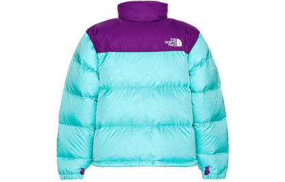 THE NORTH FACE 1996 Retro Nuptse 700 NF0A3C8D-25D - 1_f92603d5-c451-4330-90f6-d10982483dba