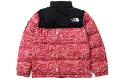 THE NORTH FACE Novelty Nuptse NJ1DM66L - 2_08056e43-6e2b-46df-975b-56833f9fda73
