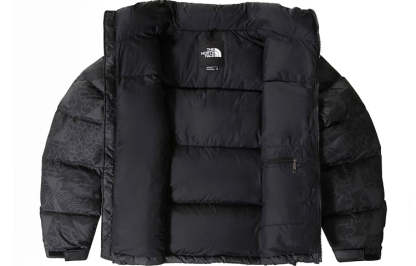 THE NORTH FACE 1996 Retro Nuptse IC Geo Tonal Print Jacket NF0A5IX4-3H3 - 2_34341d9b-2b2d-4507-8c06-000011cab262