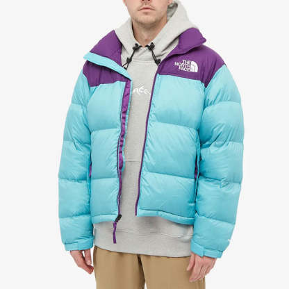 THE NORTH FACE 1996 Retro Nuptse 700 NF0A3C8D-25D - 2_34ff9b03-2979-4812-aa55-ccd4f1876041