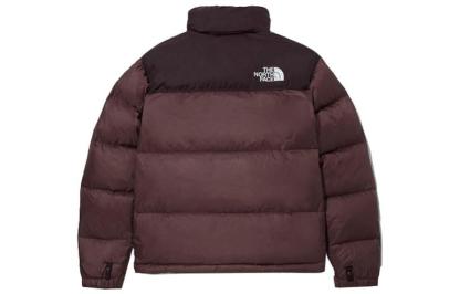THE NORTH FACE 1996 Eco Nuptse Jacket NJ1DM62G - 2_3531ae49-8468-4e2e-8fb3-941504012773