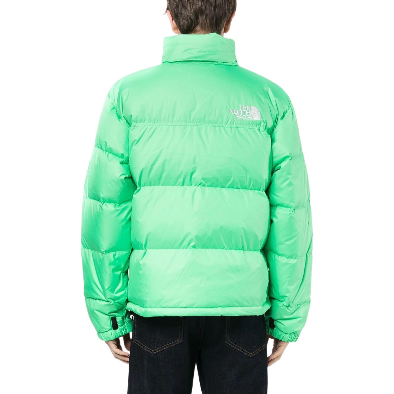 THE NORTH FACE 1996 Nuptse Jacket 700 NF0A3C8D-8YK - 2_83d6cf08-2b9c-4ba7-9b10-5893cf9152d9