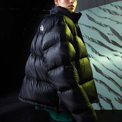 THE NORTH FACE Down Parka Jacket 'Black' NF0A5AXQ-LG2 - 2_a27f55f0-a40c-4480-80ae-a0233a5ed552