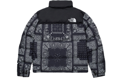 THE NORTH FACE 1996 Noobsy Nuptse Jacket NJ1DM96B - 2_cd84a02b-41d3-4917-834b-b4ecf141633d