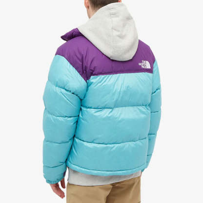 THE NORTH FACE 1996 Retro Nuptse 700 NF0A3C8D-25D - 3_22909e86-5987-4d94-af59-84d5a0300e1f