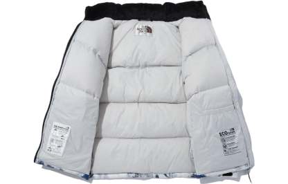 THE NORTH FACE FW22 Logo Winter Jacket 'Multicolor' NJ1DN51J - 3_380022bc-6bc7-4099-a953-423f91a2e560