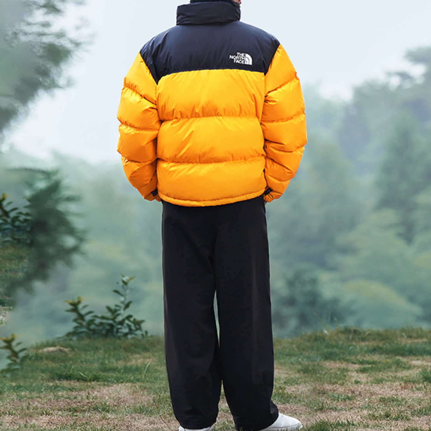THE NORTH FACE 1996 Nuptse Jacket 700 NF0A3C8D-78M - 3_4056089e-3933-4b26-a579-621481092e64