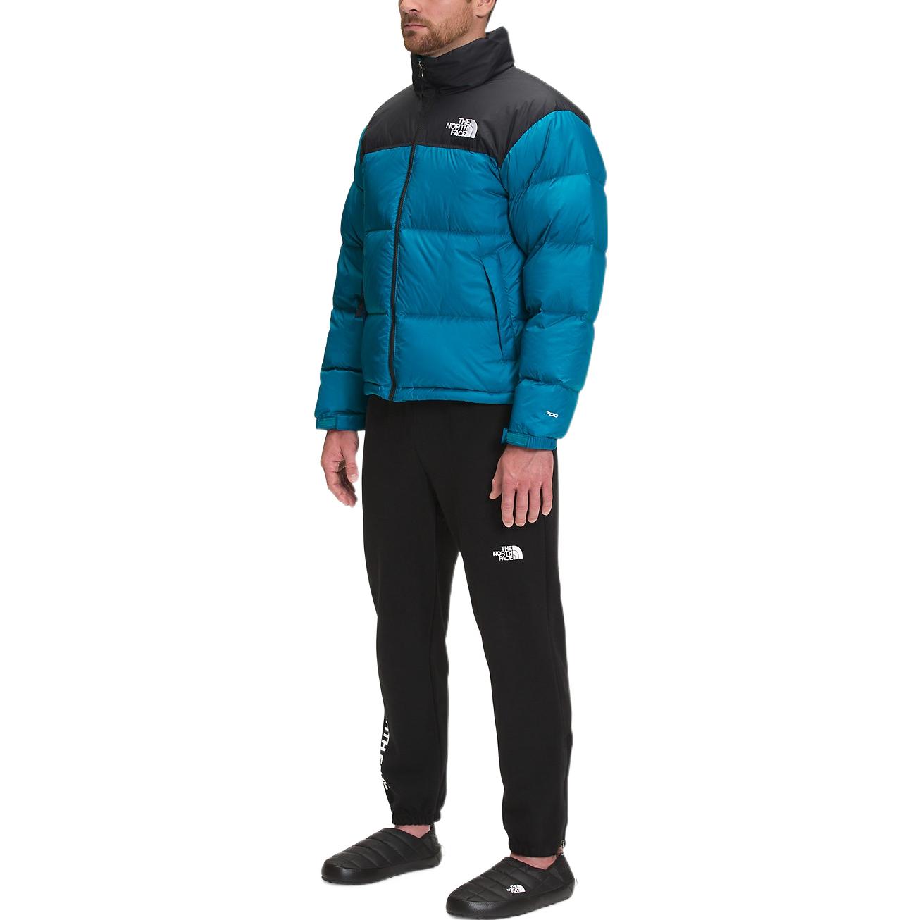 THE NORTH FACE 1996 Retro Nuptse 700 NF0A3C8D-M19 - 3_bcb66033-c204-41e5-b157-e82029e7160b