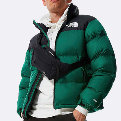 THE NORTH FACE 1996 Nuptse Icon Puffer Jacket 'Green' NF0A3C8D-NL1 - 4_55cea5b7-3314-4ca7-b5b7-571d8519ed3c