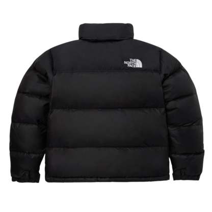 THE NORTH FACE 1996 Retro Nuptse Jacket Asia Sizing 'Black' NJ1DQ75A - NJ1DQ75A-2-Photoroom