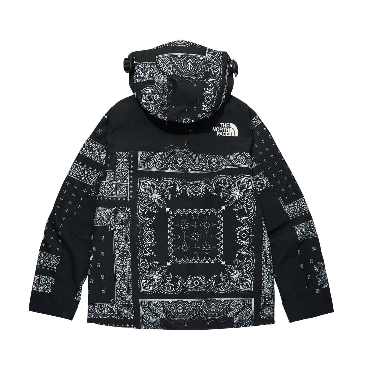 THE NORTH FACE Novelty Gore-Tex Mountain Jacket Asia Sizing 'Paisley Black' NJ2GM50E - NJ2GM50E_NJ2GM50E_01-Photoroom