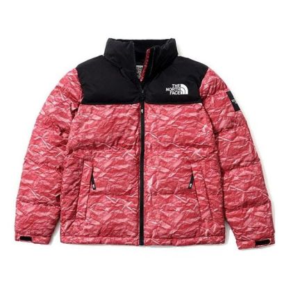 THE NORTH FACE Novelty Nuptse NJ1DM66L - main-square_387a1822-1585-4801-ae53-afc986dcd7a8
