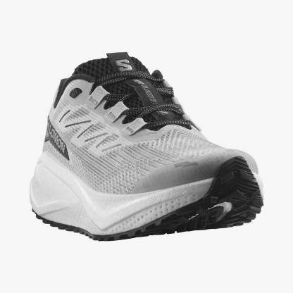 Salomon AERO BLAZE 3 GRVL Erkek Koşu Ayakkabısı Lunar Rock L47971600 - Lunar Rock - L47971600 - image 4