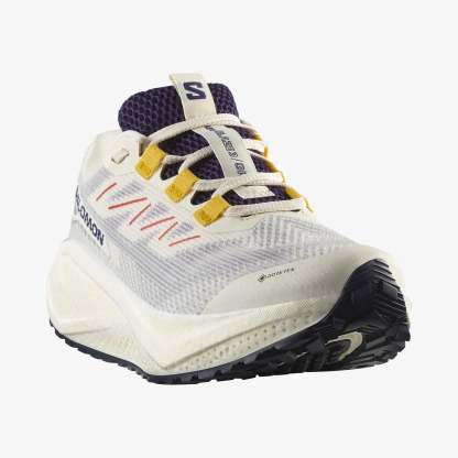 Salomon AERO BLAZE 3 GRVL Kadın Koşu Ayakkabısı Vanilla Ice L47974100 - AERO BLAZE 3 GRVL Kadın Koşu Ayakkabısı Vanilla Ice - L47974100 - image 4