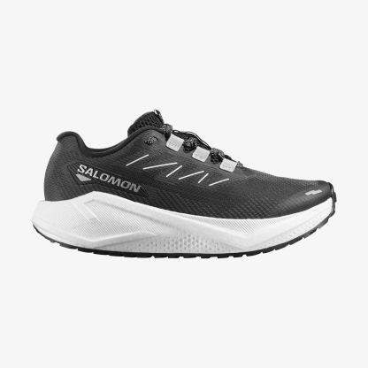 Salomon AERO BLAZE 3 GRVL Kadın Koşu Ayakkabısı Vanilla Ice L47915100 - Black - L49218300 - image 1