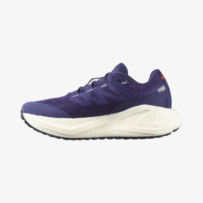 Salomon AERO GLIDE 3 GRVL Kadın Koşu Ayakkabısı Astral Aura L47870600 - Astral Aura - L47870600 - image 3