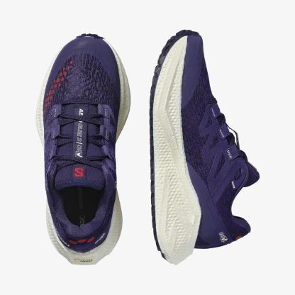 Salomon AERO GLIDE 3 GRVL Kadın Koşu Ayakkabısı Astral Aura L47870600 - Astral Aura - L47870600 - image 2