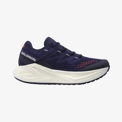 Salomon AERO GLIDE 3 GRVL Kadın Koşu Ayakkabısı Astral Aura L47870600 - Astral Aura - L47870600 - image 1