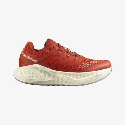 Salomon AERO GLIDE 3 GRVL Kadın Koşu Ayakkabısı Astral Aura L47870600 - L47812700 - L47812700 - image 1
