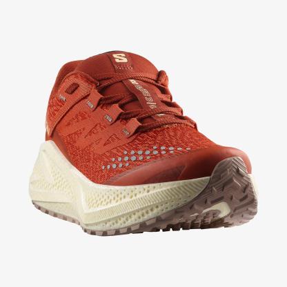 Salomon AERO GLIDE 3 GRVL Kadın Koşu Ayakkabısı Astral Aura L47870600 - L47812700 - L47812700 - image 5
