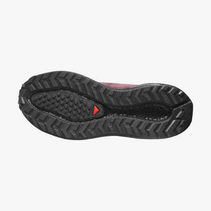 Salomon AERO GLIDE 4 GRVL Kadın Koşu Ayakkabısı Vanilla Ice L49175500 - Huckleberry [L45472700] - L45472700 - image 5