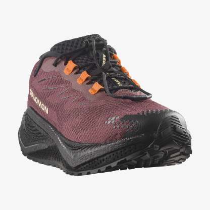 Salomon AERO GLIDE 4 GRVL Kadın Koşu Ayakkabısı Vanilla Ice L49175500 - Huckleberry [L45472700] - L45472700 - image 3