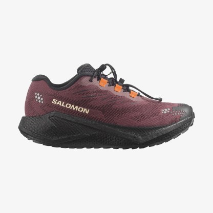 Salomon AERO GLIDE 4 GRVL Kadın Koşu Ayakkabısı Vanilla Ice L49175500 - Huckleberry [L45472700] - L45472700 - image 1