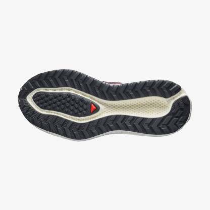 Salomon AERO GLIDE 4 GRVL Kadın Koşu Ayakkabısı Vanilla Ice L49175500 - Huckleberry [L49228000] - L49228000 - image 6