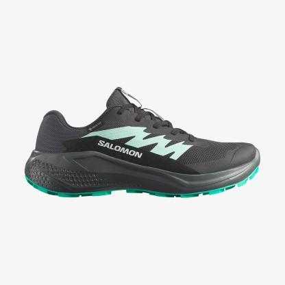 Salomon ALPHAGLIDE GORE-TEX Kadın Koşu Ayakkabısı Turbulence L47802500 - Phantom - L47802400 - image 1